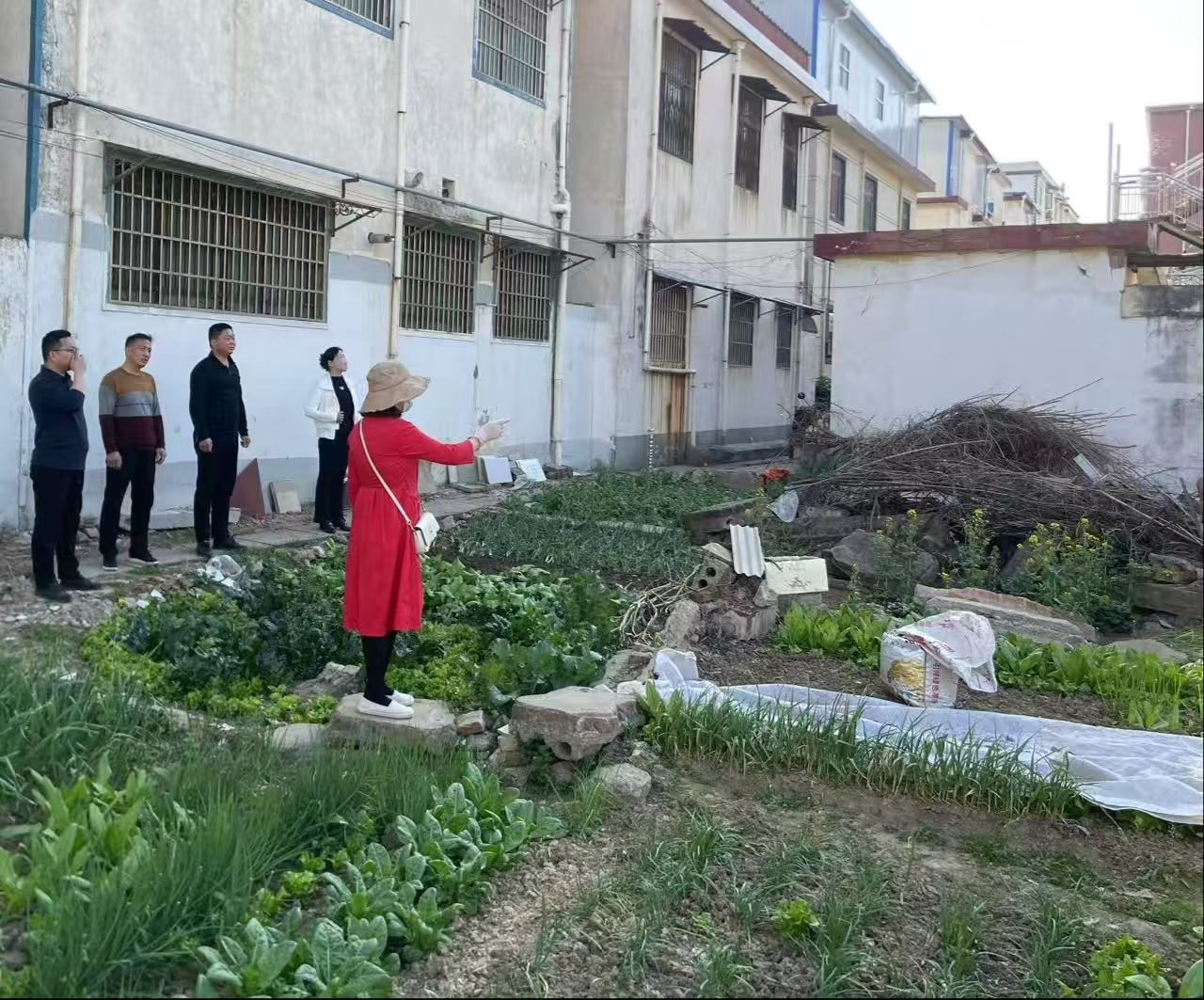 正陽縣真陽街道開展禁種鏟毒踏查活動