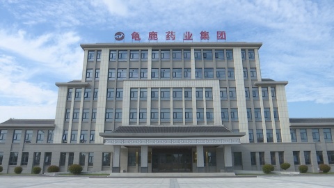 龜鹿藥業(yè)：做大龜鹿品類 做強龜鹿品牌
