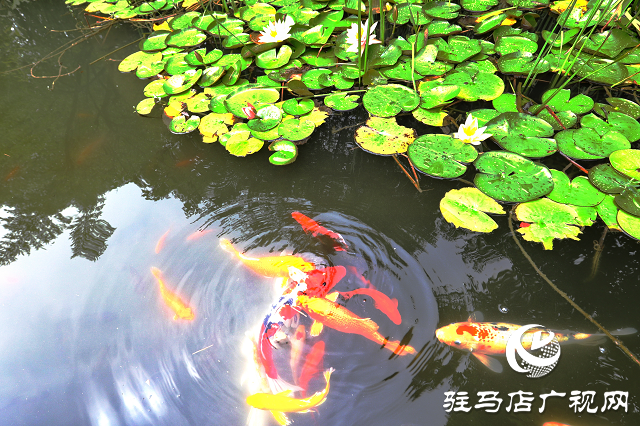 五月頌