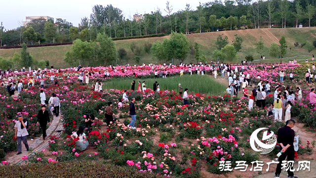 綠意蔥蘢花滿城！確山縣住建局精心打造“城市大花園”